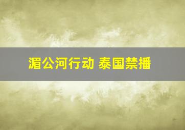 湄公河行动 泰国禁播